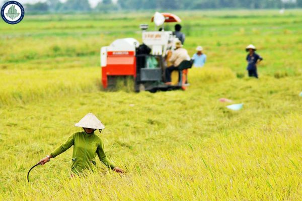 Chi tiết hạn mức nhận chuyển nhượng đất nông nghiệp tại Lâm Đồng năm 2025 của cá nhân