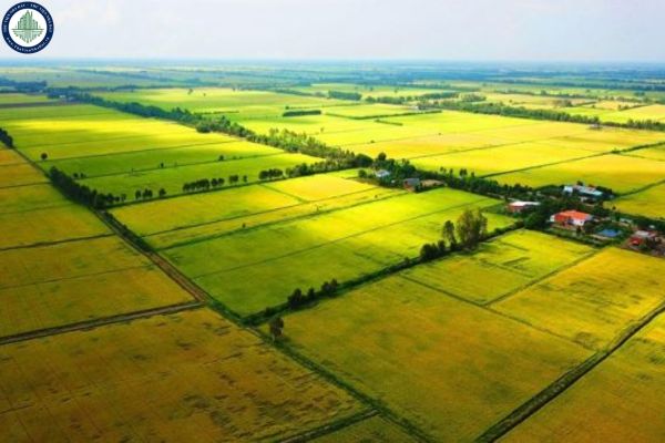 Năm 2025, hạn mức giao đất nông nghiệp tại Thái Nguyên cho cá nhân là bao nhiêu?