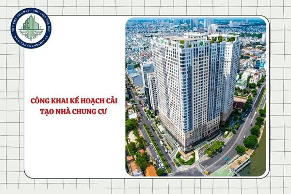Ai có trách nhiệm đăng tải công khai kế hoạch cải tạo nhà chung cư được lập riêng cho từng dự án từ 01/07/2025?