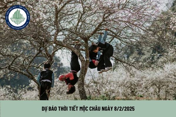 Dự báo Thời tiết Mộc Châu ngày 8 2 2025