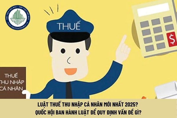 Luật Thuế thu nhập cá nhân mới nhất 2025? Quốc hội ban hành luật để quy định vấn đề gì?