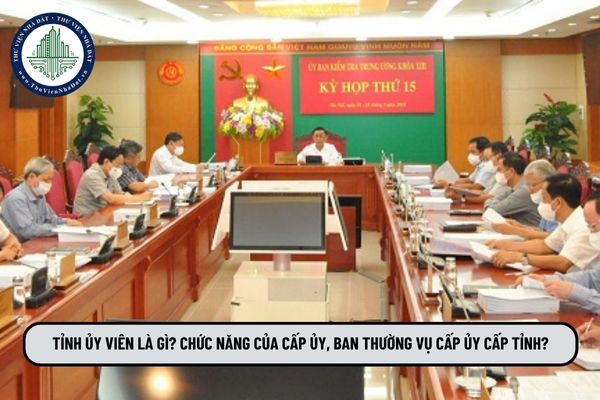 Tỉnh ủy viên là gì? Chức năng của cấp ủy, ban thường vụ cấp ủy cấp tỉnh?