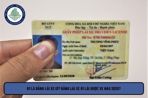 B1 là bằng lái xe gì? Bằng lái xe B1 lái được xe nào 2025?