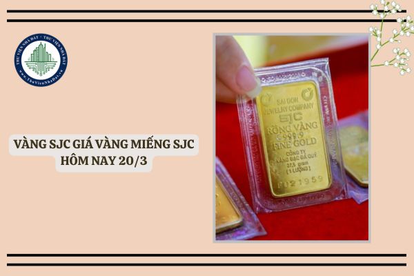 Vàng SJC giá vàng miếng SJC hôm nay 20 3? Giá vàng hôm nay bao nhiêu?