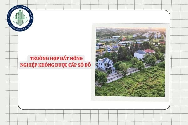 Chi tiết các trường hợp đất nông nghiệp không được cấp sổ đỏ 2025