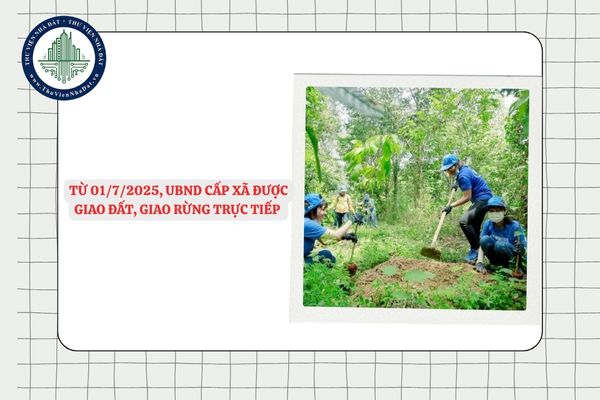 Từ 01/7/2025, UBND cấp xã được giao đất, giao rừng trực tiếp cho hộ dân