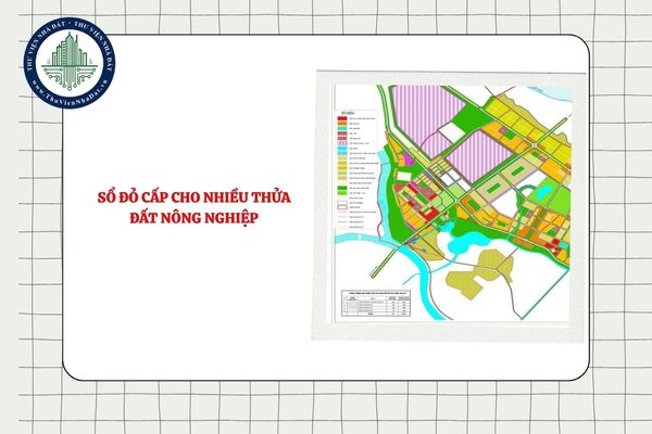 Sổ đỏ cấp cho nhiều thửa đất nông nghiệp có cần thể hiện sơ đồ thửa đất không?