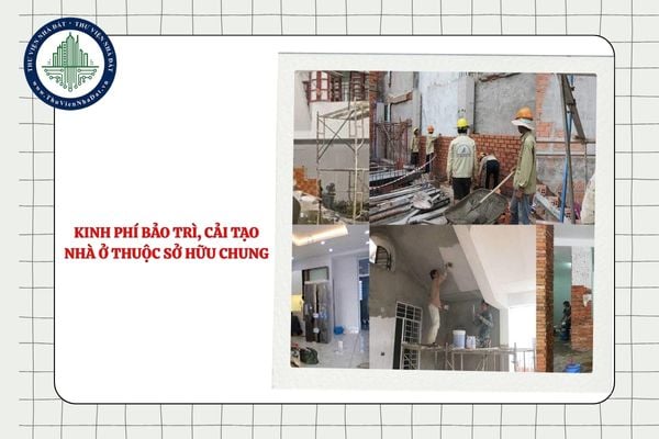 Kinh phí bảo trì, cải tạo nhà ở thuộc sở hữu chung được phân chia thế nào?