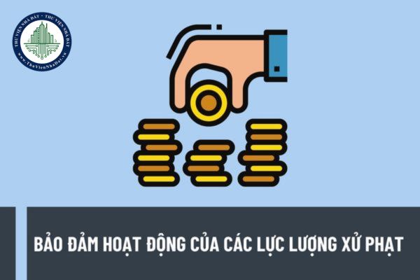 Các khoản chi ngân sách nhà nước để bảo đảm hoạt động của các lực lượng xử phạt gồm những khoản nào?