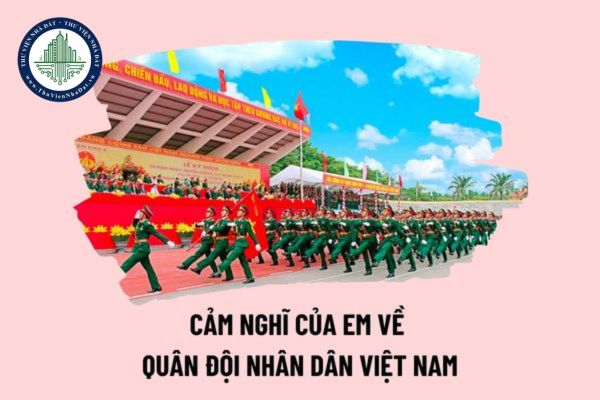 Cảm nghĩ của em về Quân đội nhân dân Việt Nam? Em nghĩ như thế nào về Quân đội nhân dân Việt Nam?