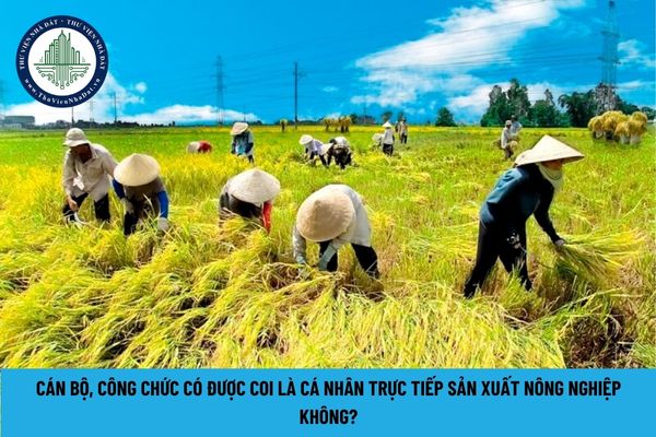 Cán bộ, công chức có thể là Cá nhân trực tiếp sản xuất nông nghiệp hay không? (Hình từ Internet)