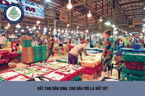 Đất chợ dân sinh, chợ đầu mối là đất gì? (Hình từ Internet)