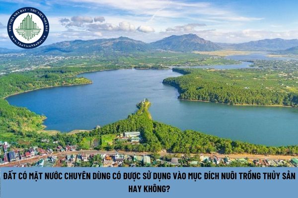 Đất có mặt nước chuyên dùng có được sử dụng vào mục đích nuôi trồng thủy sản hay không? (Hình từ Internet)