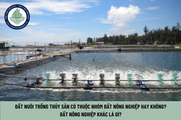 Đất nuôi trồng thủy sản có thuộc nhóm đất nông nghiệp hay không? Đất nông nghiệp khác là gì? (Hình từ Internet)