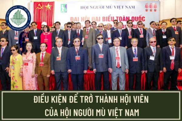 Điều kiện để trở thành Hội viên chính thức của Hội người mù Việt Nam năm 2023? Hội viên của  Hội người mù Việt Nam có quyền, nghĩa vụ gì?