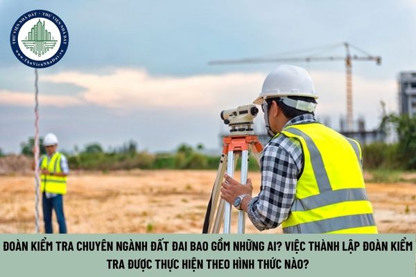 Đoàn kiểm tra chuyên ngành đất đai bao gồm những ai? Việc thành lập Đoàn kiểm tra được thực hiện theo hình thức nào? (Hình từ Internet)