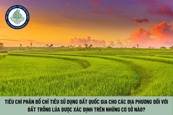 Tiêu chí phân bổ chỉ tiêu sử dụng đất quốc gia cho các địa phương đối với đất trồng lúa được xác định trên những cơ sở nào?