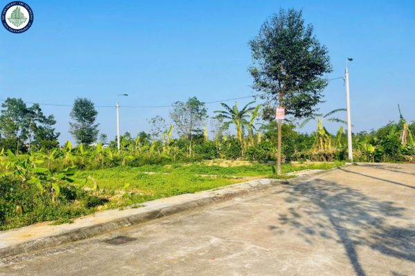 thuviennhadat.vn