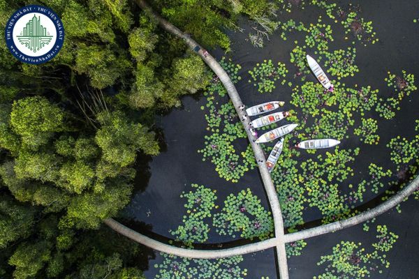 Làng Nổi Tân Lập nằm ở đâu, có gì chơi?