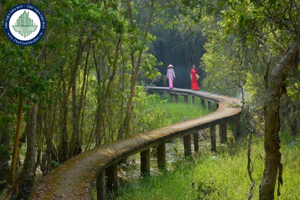 Làng Nổi Tân Lập nằm ở đâu, có gì chơi?