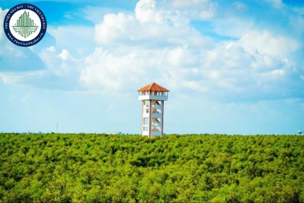 Làng Nổi Tân Lập nằm ở đâu, có gì chơi?