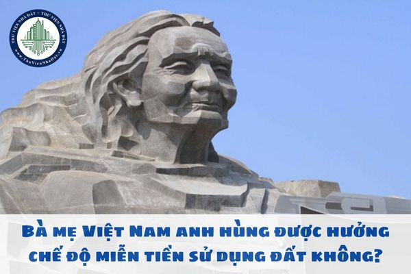 Bà mẹ Việt Nam anh hùng được hưởng chế độ miễn tiền sử dụng đất không?