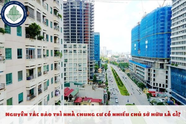 Nguyên tắc bảo trì nhà chung cư có nhiều chủ sở hữu là gì?