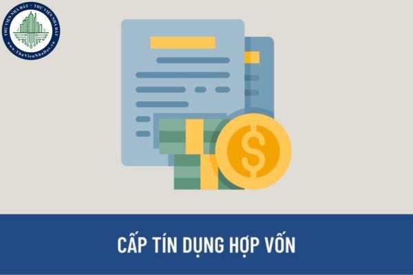 Thế nào là Cấp tín dụng hợp vốn? Tổ chức thực hiện cấp tín dụng hợp vốn gồm những tổ chức nào?