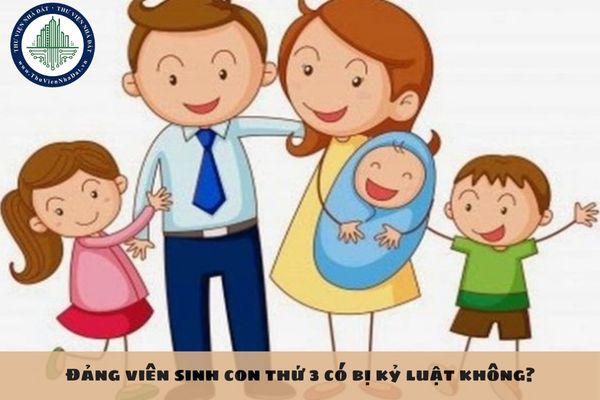 Đảng viên sinh con thứ 3 có bị kỷ luật không?