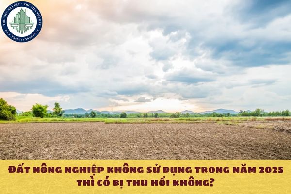 Đất nông nghiệp không sử dụng trong năm 2025 thì có bị thu hồi không?