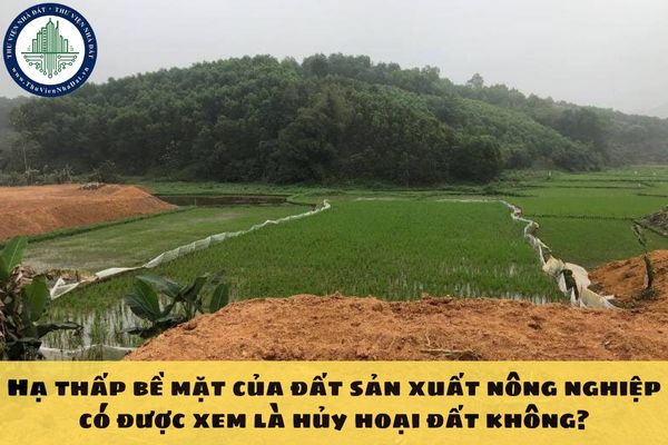 Hạ thấp bề mặt của đất sản xuất nông nghiệp có được xem là hủy hoại đất không?