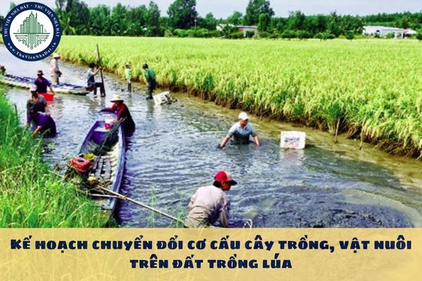 Kế hoạch chuyển đổi cơ cấu cây trồng, vật nuôi trên đất trồng lúa quy định theo Nghị định 112 2024 như thế nào?