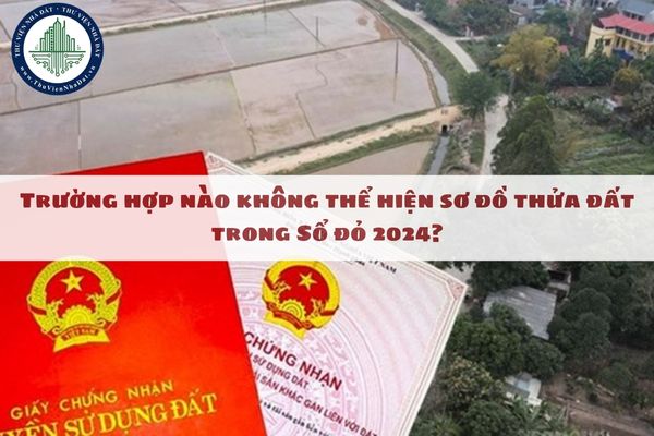 Trường hợp nào không thể hiện sơ đồ thửa đất trong Sổ đỏ 2024?