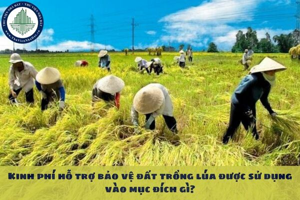 Kinh phí hỗ trợ bảo vệ đất trồng lúa được sử dụng vào mục đích gì?