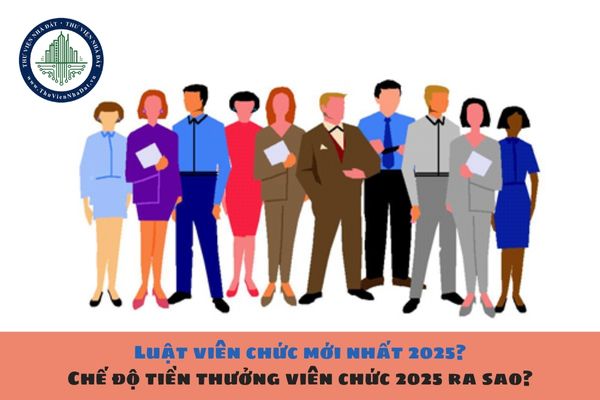 Luật viên chức mới nhất 2025? Chế độ tiền thưởng viên chức 2025 ra sao?