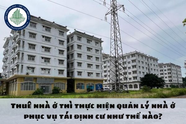 Thuê nhà ở thì thực hiện quản lý nhà ở phục vụ tái định cư như thế nào?