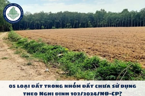 05 loại đất trong nhóm đất chưa sử dụng theo Nghị định 102/2024/NĐ-CP?