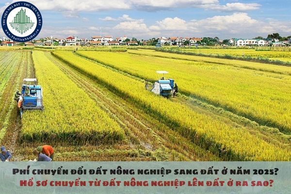 Phí chuyển đổi đất nông nghiệp sang đất ở năm 2025? Hồ sơ chuyển từ đất nông nghiệp lên đất ở ra sao?