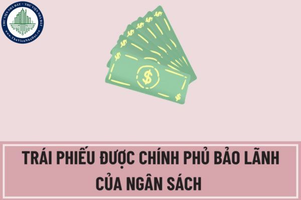 Sử dụng tiền thu được từ phát hành trái phiếu được Chính phủ bảo lãnh của ngân sách nhà nước vào mục đích gì?