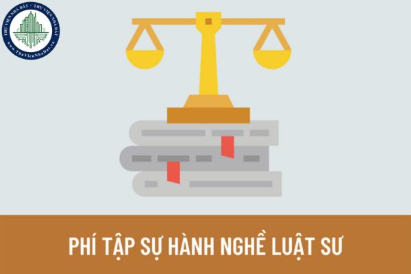 Tập sự hành nghề luật sư có phải đóng phí cho Đoàn Luật sư không?