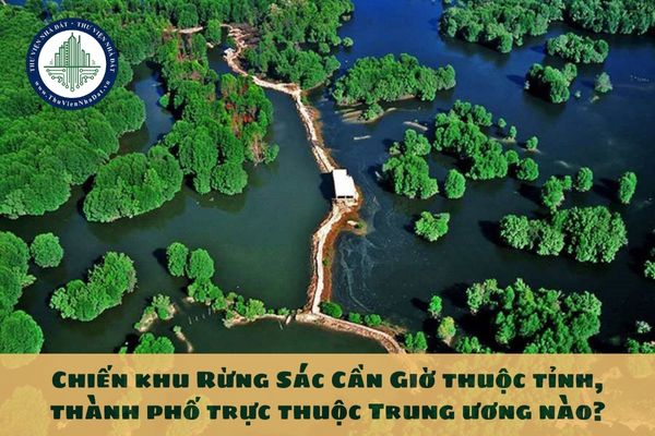 Chiến khu Rừng Sác Cần Giờ thuộc tỉnh, thành phố trực thuộc Trung ương nào?