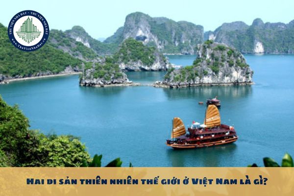 Hai di sản thiên nhiên thế giới ở Việt Nam là gì?