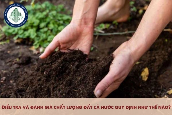 Điều tra và đánh giá chất lượng đất cả nước quy định như thế nào?