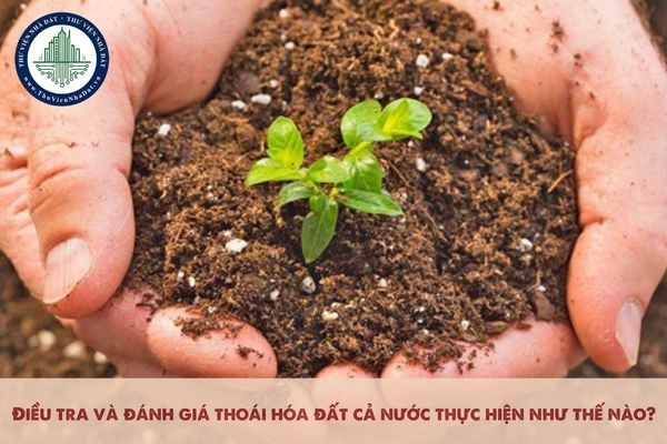 Điều tra và đánh giá thoái hóa đất cả nước thực hiện như thế nào?