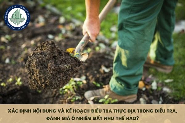 Xác định nội dung và kế hoạch điều tra thực địa trong điều tra, đánh giá ô nhiễm đất như thế nào?