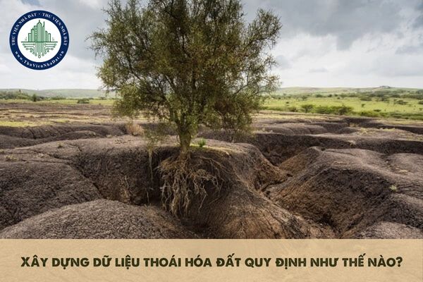 Xây dựng dữ liệu thoái hóa đất quy định như thế nào?