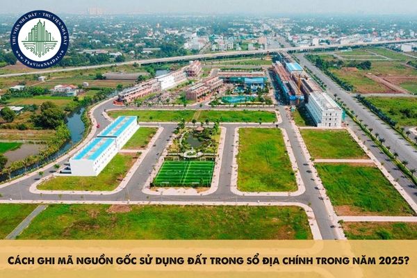 Cách ghi mã nguồn gốc sử dụng đất trong sổ địa chính trong năm 2025?