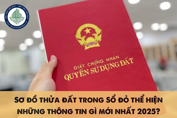 Sơ đồ thửa đất trong Sổ đỏ thể hiện những thông tin gì mới nhất 2025?