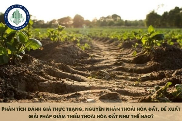 Phân tích đánh giá thực trạng, nguyên nhân thoái hóa đất, đề xuất giải pháp giảm thiểu thoái hóa đất như thế nào?