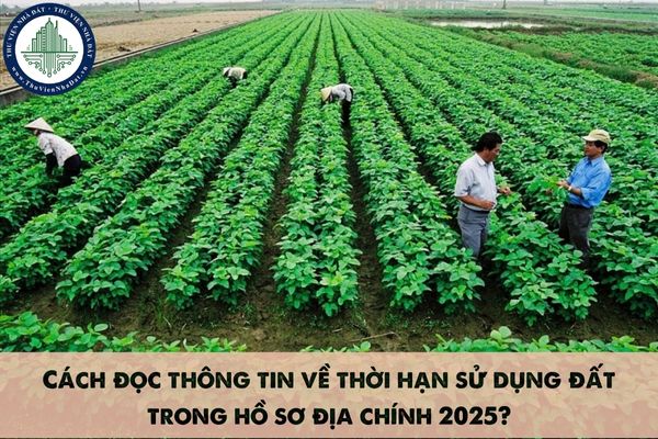 Cách đọc thông tin về thời hạn sử dụng đất trong hồ sơ địa chính 2025?